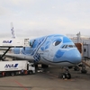 ANAホノルル路線　フライングホヌ / Flying Honu, ANA Honolulu route
