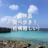 【飲食店選びが難しい。。】喜界島グルメ探訪 実際に食べ歩いたお店をご紹介します。