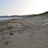 今日は長浜海岸清掃です（７/１７）