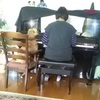 70代シニアのインスタグラム330日～椅子に座ってピアノを聴く犬
