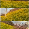 壁面作り