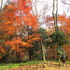 １２．３０（月・晴れ）晦日。大納会。ジーパン。