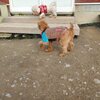 寝てました。