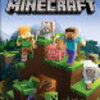 Minecraft Nitendo Switch版