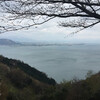 【花見】桜の名所100選「海津大崎 - 滋賀」に行ってきました。