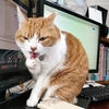 待ってそんなつもりじゃ・・・