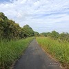 秋の風物詩