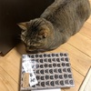 大きすぎるサイズの書置きの御朱印のためにMinneで見つけたKOEIDOさんにお願いしてA5の御朱印帳を作ってもらったヾ(*´∀｀*)ﾉ