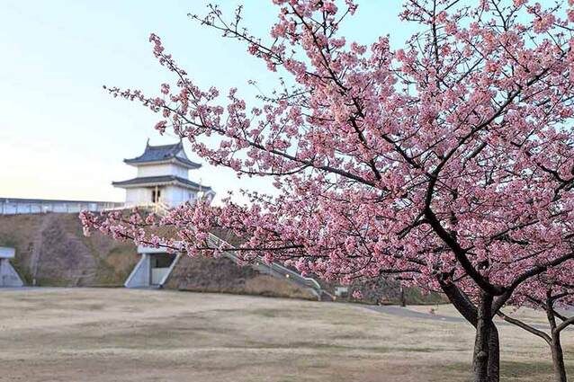 世界遺産や絶景の日の出、花の楽園… 栃木県の魅力をプレゼン！ 「Google Pixel プロダクトスペシャリスト」と巡る観光スポット
