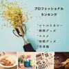 【プロフェッショナルランキング】レトルトカレー、掃除グッズ、コスメ、快眠グッズ、冷凍麺
