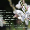 こころの道しるべ（231）相手の下に立つ