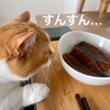 うなぎの山椒が気になる愛猫。またたびみたいな反応が。