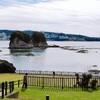 植物と海がきれい　番所山公園　和歌山　白浜旅　その1