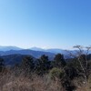 高尾山に行ってきた。