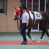指名馬情報:牝馬第9位