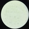 細胞の運命を読む研究が広がる——創薬の前段階で起きている変化