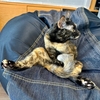もなちゃん足ぱかーん。