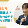 丘みどりの旦那の職業は？相撲取りなのかや子供の有無など調査！