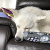 ず〜っと遊ぶ