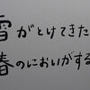 新シリーズスタート　/　今までこのブログに無かったので