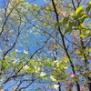 調子が悪い日が休みでよかった