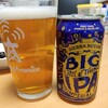 SIERRA NEVADA BIG LITTLE THING IPA