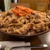 【シリーズ第２弾】すき家　ボーノ相模大野店〜キムチ牛丼キング／デカ盛り／牛丼キング／JAF優待／ゼンショー〜