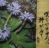 3月5日の誕生花と花言葉歌句