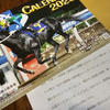 2023南関東4競馬場カレンダー　が当選