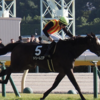 第86回 桜花賞の予想