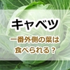 キャベツの一番外側の葉は食べる事ができる？安全性と食べ方の基本・その他の活用方法