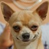 〝合コン禁止令〟 (^。^;)/~