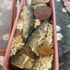 今日もイワシ弁当