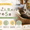 猫壱の人気爪とぎおすすめ5選｜すり鉢・カーブ形状でくつろげる安心の日本ブランドの定番を比較