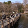 井の頭公園に行ってみた