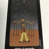 sun and moon tarot : nine of wands - strength