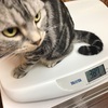 盛りだくさんな？日曜日。