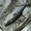 季節は巡る