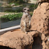 ２０１９／０３／２１　東武動物公園