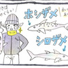 さめんたれ