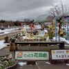 先月（１月）及び先週（1/25~31）の歩行実績＆花回廊の積雪
