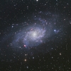 M33