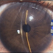 映画鑑賞記