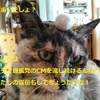 TBSのアレとコレ