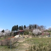 郡山市の桜②　高屋敷稲荷神社