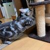 騙された～