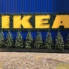 IKEAに行って来ました！