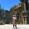 【FF14】新生祭を全裸待機