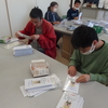 新しい内職作業は封入作業　ダイコンの花