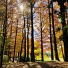 稲沢のおすすめスポット紹介「稲沢公園」